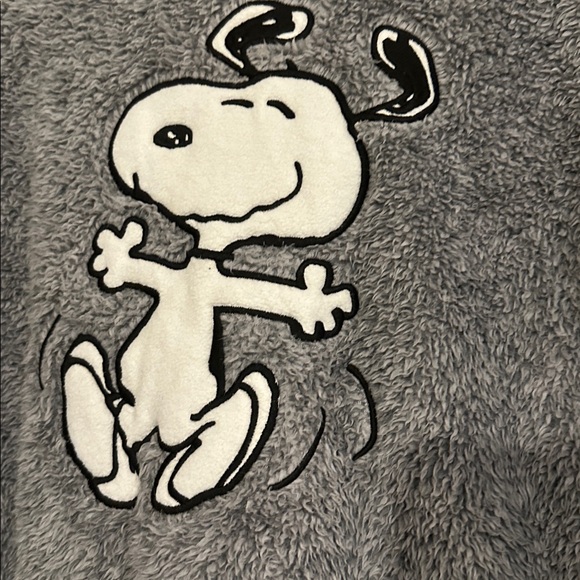 Peanuts Happy Fleece Snoopy & Woodstock hooded long sleeve pullover loungewear S - Picture 6 of 11